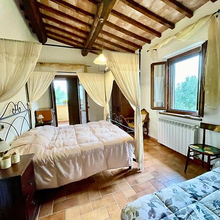 Вілла La Casa Di Gelsomino Масса-Мартана Екстер'єр фото